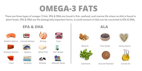 reduce belly fat omega lowest cost highest quality